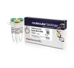 Thermo Fisher Scientific ER1441 — 500 единиц BseSI (Bme1580I) (10 ед./мкл)