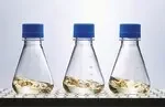 Thermo Fisher Scientific 4115-1000 — Упаковка из 6 колб 1000mLErlenmeyer (встряхивающих), одноразового применения из PETG, плоское дно, крышка фильтра, 6 шт./коробка