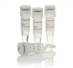 Thermo Fisher Scientific R0181 — 4 x 0, 25 мл dNTPsuit 100mMsolution
