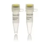 Thermo Fisher Scientific ER1751 — 200 единиц PfoI (10 ед./мкл)