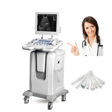 BLS-850 — Мобильные ультразвуковые системы для визуализации на месте