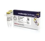 Thermo Fisher Scientific ER0742 — 1000 единиц CpoI (RsrII) (10 ед./мкл)