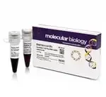 Thermo Fisher Scientific SM1334 — 50 мкг GeneRuler 1 кб Плюс ДНК Стандарты молекулярной массы, готовые к использованию