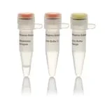 Thermo Fisher Scientific ER0645 — 2000 единиц SalI (10 ед./мкл)