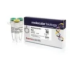 Thermo Fisher Scientific ER1071 — 300 единиц MnlI (10 ед./мкл)