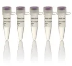 Thermo Fisher Scientific B64 — 5 x 1 мл FastDigestBuffer (10X)