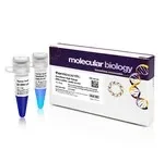 Thermo Fisher Scientific SM1353 — 50 мкгстандарты молекулярной массы ДНК высокого диапазона