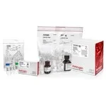 Thermo Fisher Scientific AM1975 — 40 препаратов RecoverAll FFPEНабор для полного выделения нуклеиновых кислот