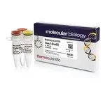 Thermo Fisher Scientific ER1711 — 2000 единиц BseJI (BsaBI) (10 ед./мкл)