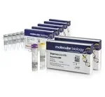 Thermo Fisher Scientific M16325 — Thermo Фишера 100 реакций RevertAidPremix (включая ДНКазу I)