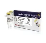 Thermo Fisher Scientific ER2101 — 1000 единиц TscAI (TspRI) (10 ед./мкл)