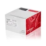 Thermo Fisher Scientific NP0343BOX — 10 гелей (1 коробка) NuPAGE 12%, Bis-Tris, 1, 0 мм, маленький протеиновый гель, 15 лунок