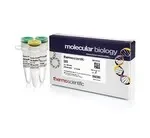 Thermo Fisher Scientific ER1831 — 300 единиц Hin1II (NlaIII) (5 ед./мкл)