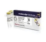 Thermo Fisher Scientific ER0491 — 500 единиц HincII (HindII) (10 ед./мкл)