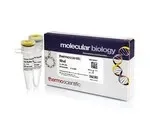 Thermo Fisher Scientific ER0971 — 500 единиц NheI (10 ед./мкл)
