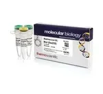Thermo Fisher Scientific ER1641 — 200 единиц SatI(Fnu4HI) (10 ед./мкл)