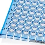 Thermo Fisher Scientific AB2696B — 25 пластин ArmadilloShort тип PCRrow плата, 96hole, синий