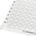 Thermo Fisher Scientific AB3696150 — 150 пластин ArmadilloShort тип PCRrow, 96hole, прозрачная, с белыми отверстиями, объемная