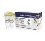 Thermo Fisher Scientific ER0542 — 5 x 3000 единиц MspI (HpaII) (10 ед./мкл)