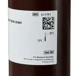 Thermo Fisher Scientific S11791 — Thermo Фишер 200 мл SYPRO RubyWestern блот-окрашивание