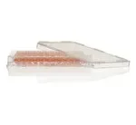 Thermo Fisher Scientific 249952 — Упаковка из 160 шт. 96hole, конус (V)Плинтус, необработанная поверхность, в упаковке 10 шт