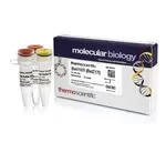 Thermo Fisher Scientific ER0701 — 500 единиц Bst1107I (BstZ17I) (10 ед./мкл)