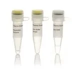 Thermo Fisher Scientific ER1811 — 100 единиц FaqI (BsmFI) (2 ед./мкл)