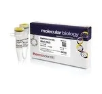 Thermo Fisher Scientific ER1162 — 1000 единиц BfmI (SfcI) (10 ед./мкл)