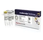 Thermo Fisher Scientific ER1771 — 250 единиц I-SceI (10 ед./мкл)