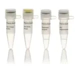 Thermo Fisher Scientific ER1581 — 25 единиц AarI (2 ед./мкл)