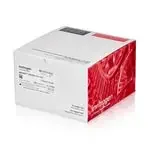 Thermo Fisher Scientific NP0303BOX — 10 гелей (1 коробка) NuPAGE 10%, Bis-Tris, 1, 0 мм, маленький белковый гель, 15 лунок
