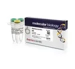 Thermo Fisher Scientific ER1821 — 1000 единиц SfiI (10 ед./мкл)