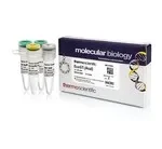Thermo Fisher Scientific ER0341 — 200 единиц Eco57I (AcuI) (5 ЕД/мкл)