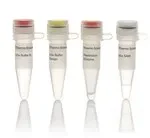 Thermo Fisher Scientific ER1951 — 100 единиц AjuI (5 ед./мкл)