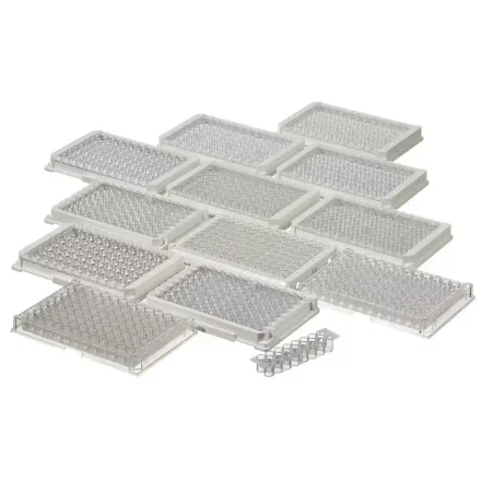 Thermo Fisher Scientific 467466 — Футляр на 60 стандартных модулей Immuno Transparent, F16, MaxiSorp, с рамкой