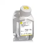 Thermo Fisher Scientific 21041025 — 500 мл DMEM/F-12, не содержит фенолового красного