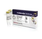 Thermo Fisher Scientific ER0531 — 500 единиц Kpn2I (BspEI) (10 ед./мкл)
