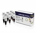 Thermo Fisher Scientific SM1553 — 50 мкг GeneRuler Express DNA Стандарты молекулярной массы, готовые к использованию