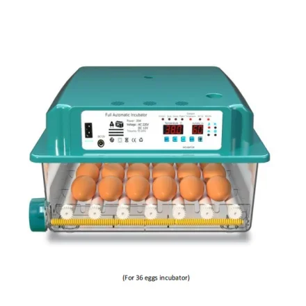 Incubator Маленький дом Incubator автоматическое интеллектуальное яйцо Incubator для куриных, утиных, гусиных и голубиных яиц объем 36 шт