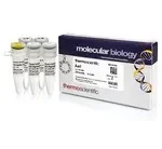 Thermo Fisher Scientific ER1582 — 125 единиц AarI (2 ед./мкл)