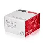 Thermo Fisher Scientific NP0315BOX — 10 гелей (1 коробка) NuPAGE 10%, Bis-Tris, 1, 5 мм, маленький белковый гель, 10 отверстий