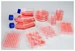 Thermo Fisher Scientific 174927 — Упаковка из 8 пластин 96orifice, адгезионная поверхность SpheraLow, в упаковке 1indivual