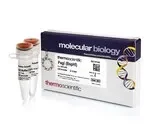 Thermo Fisher Scientific ER1282 — 2000 единиц PagI (BspHI) (10 ед./мкл)