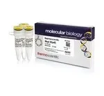 Thermo Fisher Scientific ER0541 — 3000 единиц MspI (HpaII) (10 ед./мкл)