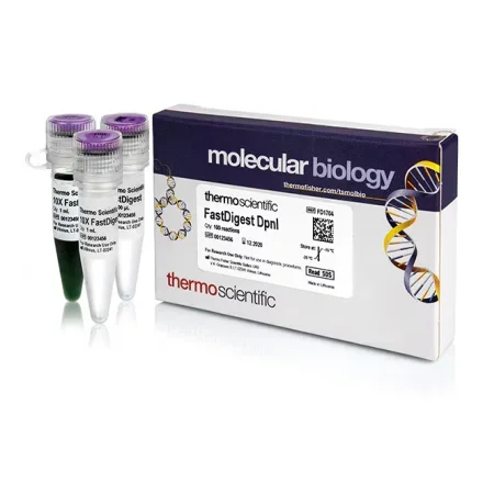 Thermo Fisher Scientific FD1704 — Thermo Фишер FastDigest DpnI 100 реакций