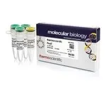 Thermo Fisher Scientific ER0635 — 5000 единиц PvuII (10 ед./мкл)