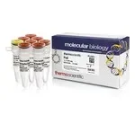 Thermo Fisher Scientific ER0612 — 5 x 3000 единиц PstI (10 ед./мкл)